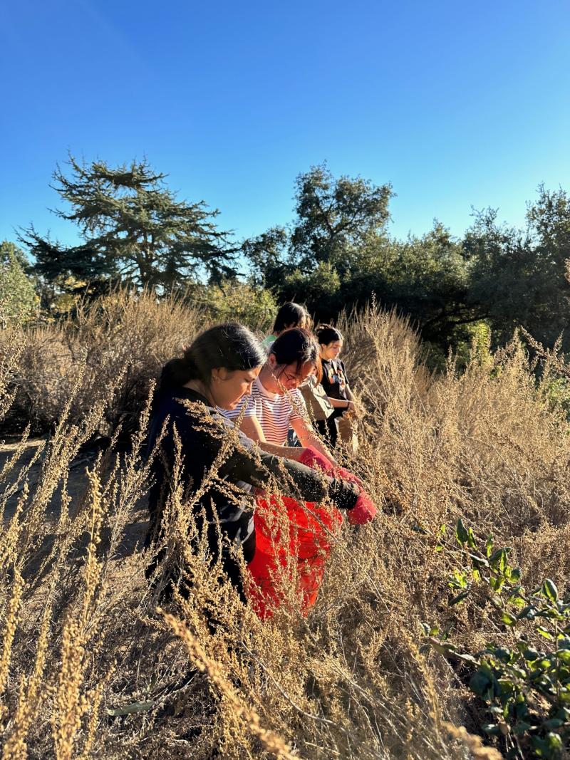 Fellows collecting seeds.